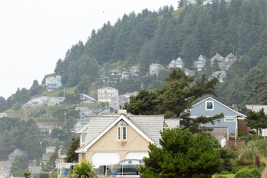 Homes nestled amongst the trees in Tillamook County
